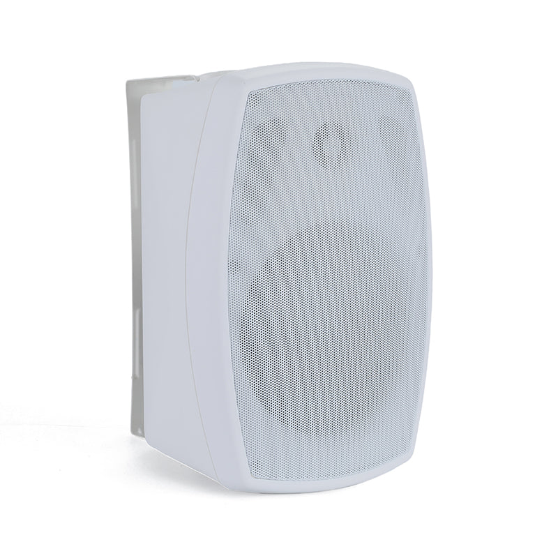 Wall Speaker WS-304W