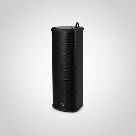 Wall Speaker MC-40